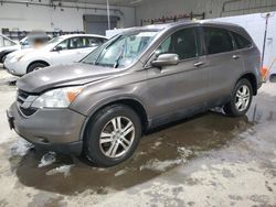 Salvage cars for sale at Candia, NH auction: 2010 Honda CR-V EXL