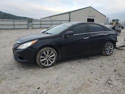 Salvage cars for sale at Lawrenceburg, KY auction: 2013 Hyundai Sonata SE