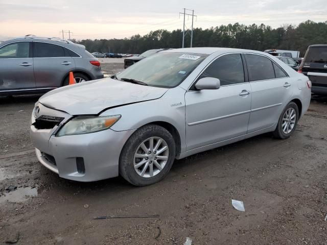 2010 Toyota Camry Hybrid