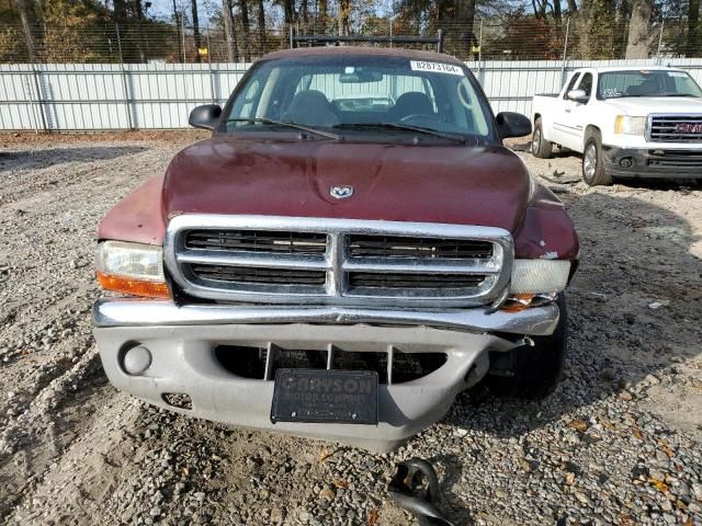 2001 Dodge Dakota Quattro