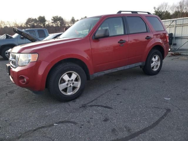 2011 Ford Escape XLT