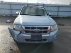 2008 Ford Escape HEV