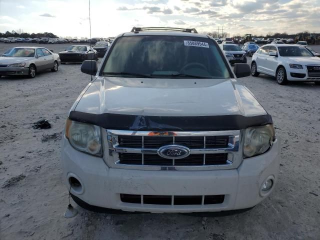 2010 Ford Escape XLT