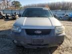 2006 Ford Escape HEV