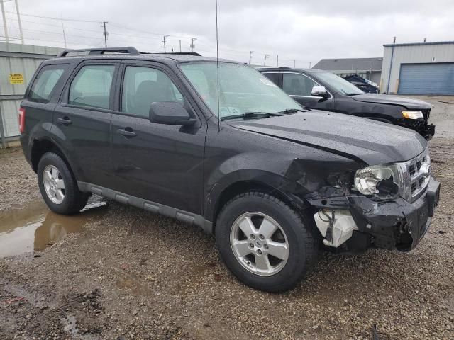 2011 Ford Escape XLS