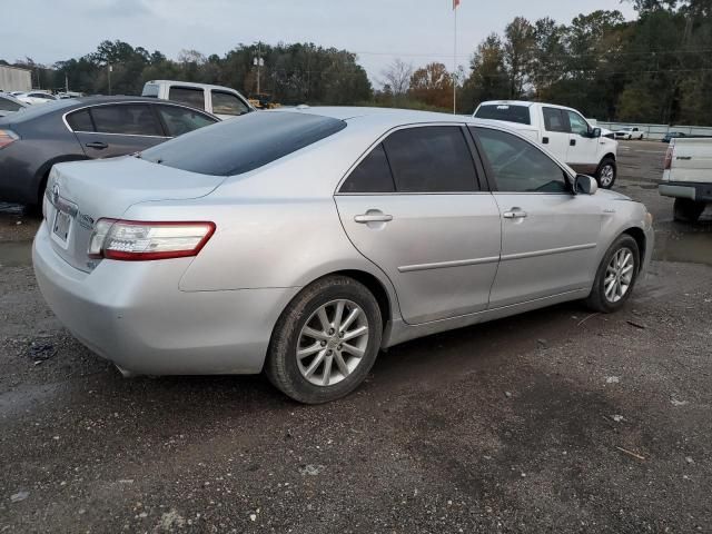 2010 Toyota Camry Hybrid