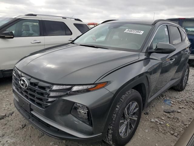 2023 Hyundai Tucson Blue