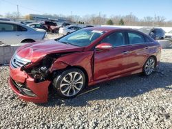 Salvage cars for sale at Louisville, KY auction: 2014 Hyundai Sonata SE