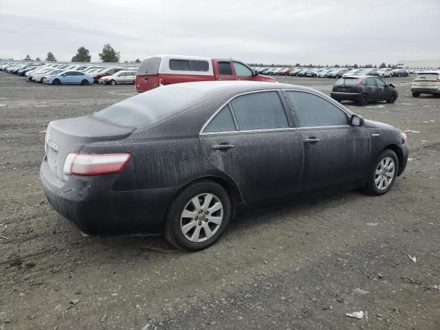 2008 Toyota Camry Hybrid