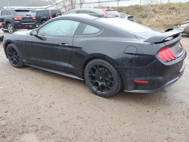 2019 Ford Mustang