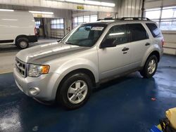 Ford salvage cars for sale: 2011 Ford Escape XLT