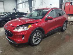 Salvage cars for sale at Ham Lake, MN auction: 2020 Ford Escape SEL