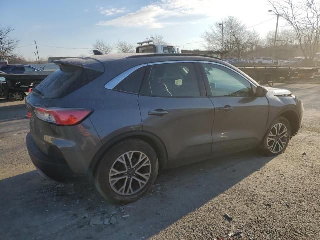 2021 Ford Escape SEL