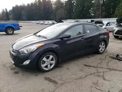 Hyundai Elantra salvage cars for sale: 2013 Hyundai Elantra GLS