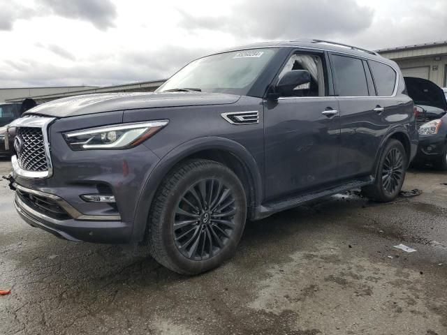 2023 Infiniti QX80 Luxe