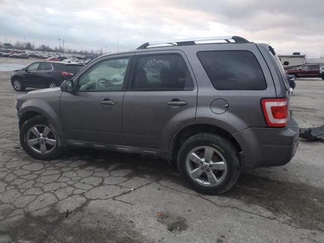 2009 Ford Escape Limited