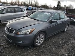 Honda salvage cars for sale: 2008 Honda Accord EXL