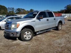 Salvage cars for sale at Theodore, AL auction: 2011 Ford F150 Supercrew