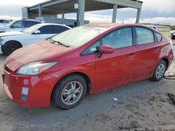 Salvage cars for sale at West Palm Beach, FL auction: 2010 Toyota Prius