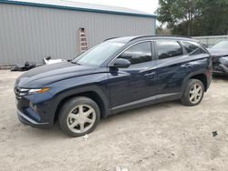 Salvage cars for sale at Midway, FL auction: 2023 Hyundai Tucson Blue