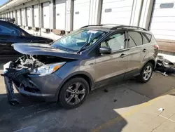 2013 Ford Escape SE en venta en Louisville, KY