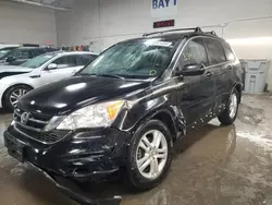 Salvage SUVs for sale at auction: 2010 Honda CR-V EXL