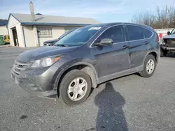 Salvage cars for sale at Grantville, PA auction: 2013 Honda CR-V LX