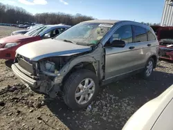 Salvage cars for sale at Windsor, NJ auction: 2008 Honda CR-V EX