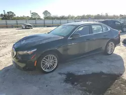 Salvage cars for sale at Fort Pierce, FL auction: 2024 BMW 530 I