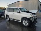 2014 Lexus GX 460 Premium