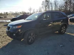 2013 KIA Sorento EX en venta en Waldorf, MD