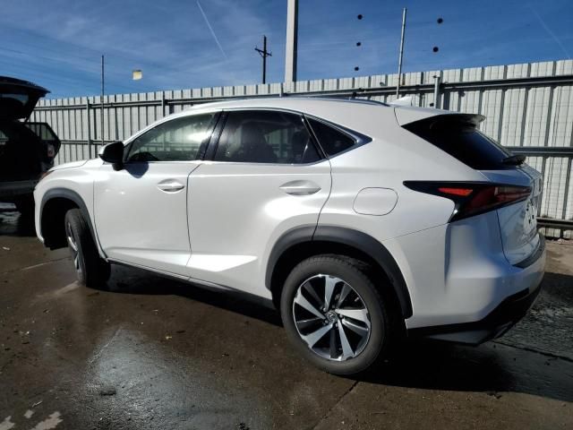 2021 Lexus NX 300 Base