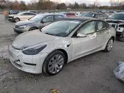 2021 Tesla Model 3 en venta en Madisonville, TN