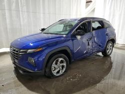 Rental Vehicles for sale at auction: 2024 Hyundai Tucson SEL