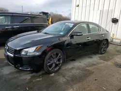 Nissan salvage cars for sale: 2014 Nissan Maxima S