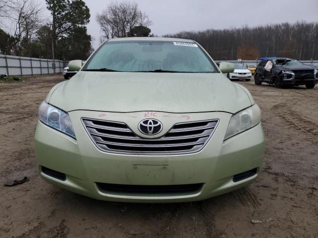 2009 Toyota Camry Hybrid