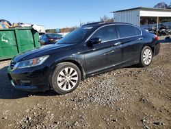 Honda Accord salvage cars for sale: 2014 Honda Accord EXL