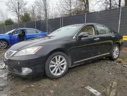 Salvage cars for sale at Waldorf, MD auction: 2012 Lexus ES 350