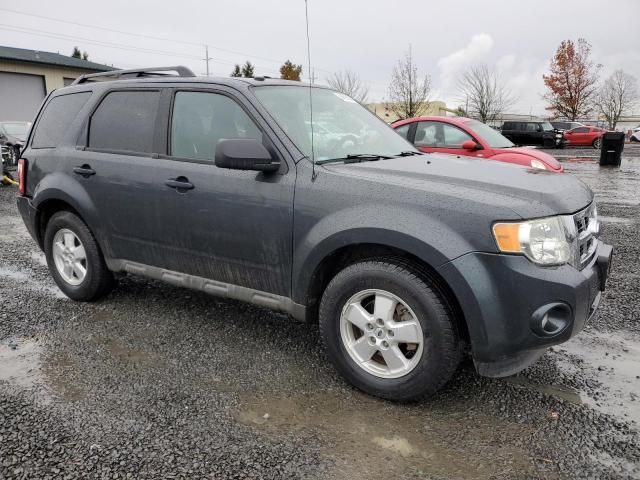 2009 Ford Escape XLT