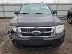 2011 Ford Escape XLS