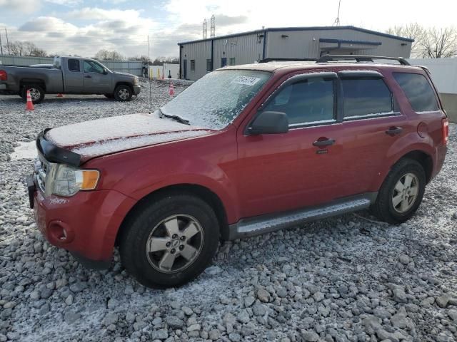 2010 Ford Escape XLT