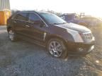 2011 Cadillac SRX Performance Collection