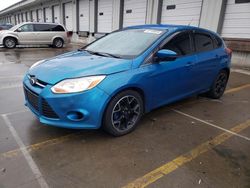 2013 Ford Focus SE en venta en Louisville, KY