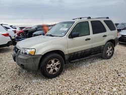 2006 Ford Escape XLT en venta en Temple, TX