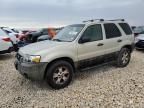 2006 Ford Escape XLT