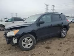 Salvage cars for sale at Elgin, IL auction: 2011 Toyota Rav4