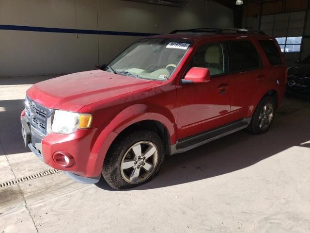 2011 Ford Escape Limited