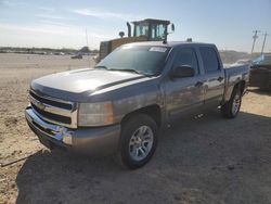 Salvage cars for sale at San Antonio, TX auction: 2009 Chevrolet Silverado C1500