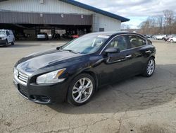 Salvage cars for sale from Copart East Granby, CT: 2014 Nissan Maxima S