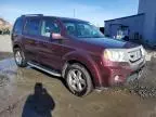 2009 Honda Pilot EXL